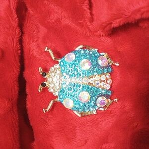 New Ladybug Brooch